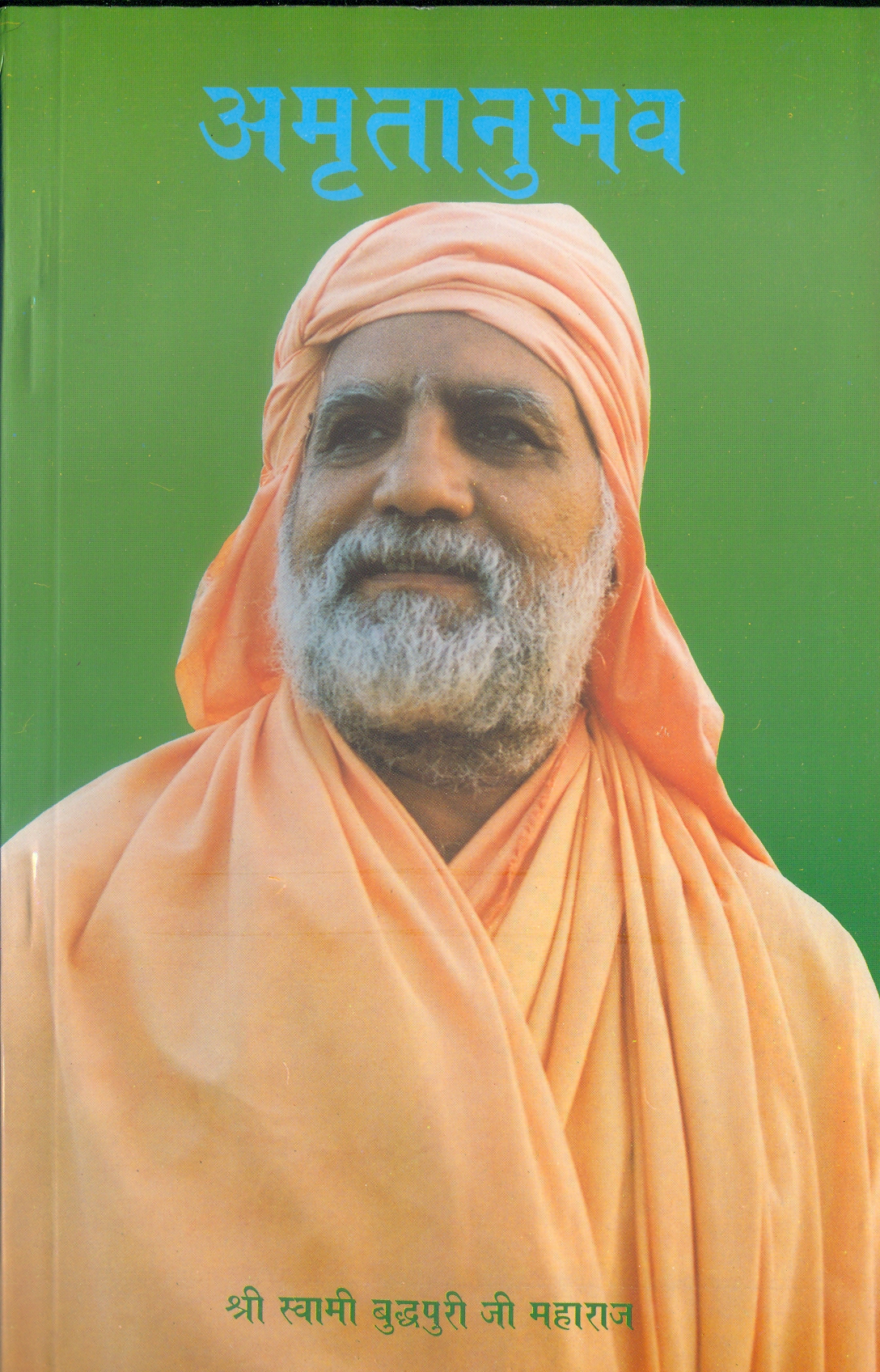 अमृतानुभव