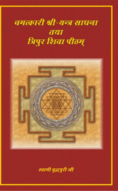 श्रीयन्त्र की चमत्कारी साधना और त्रिपुर शिवा पीठम्